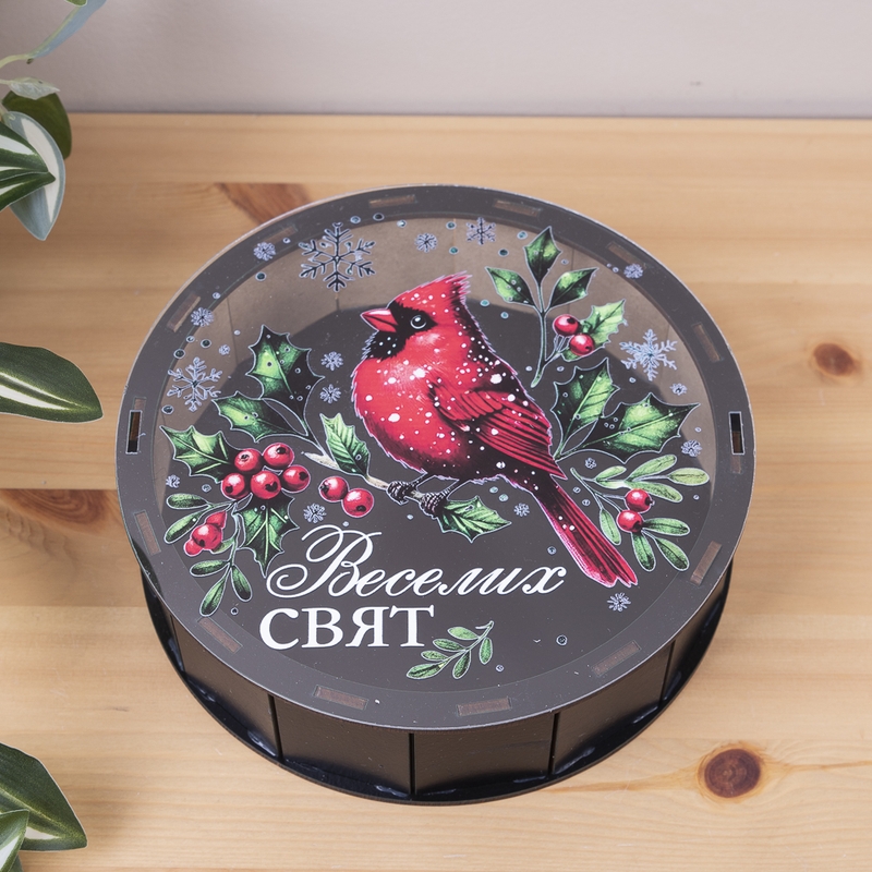 Подарункова коробка кругла чорна з прозорою кришкою ⌀19.5×5.5 см «Снігур Веселих Свят»
