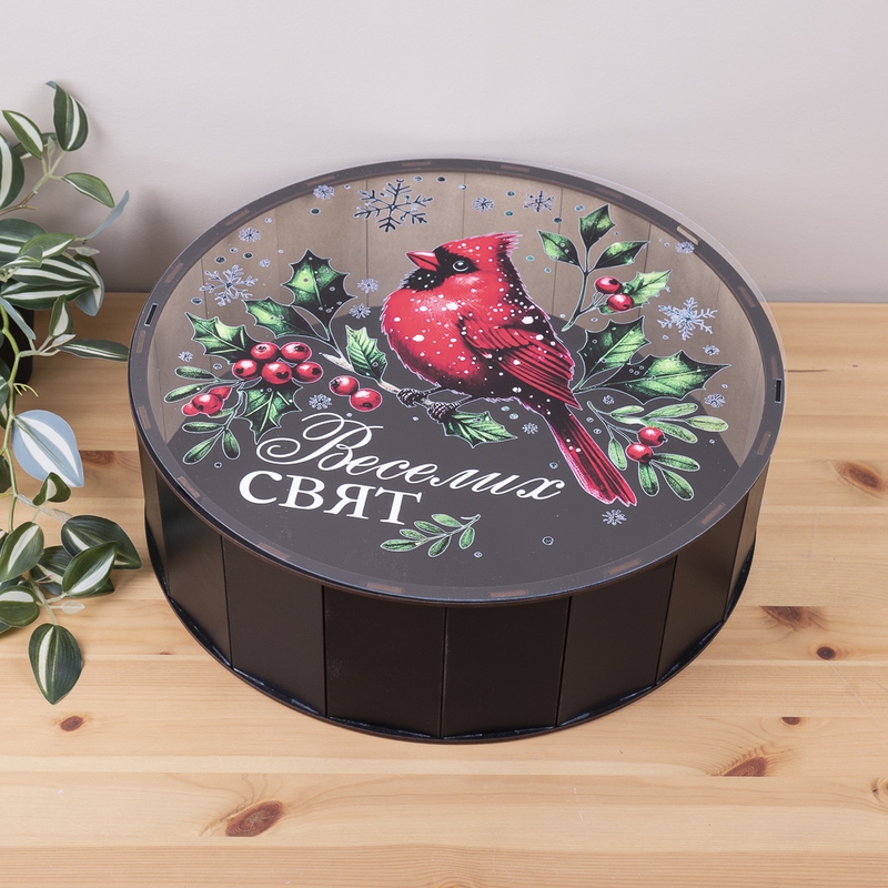Подарункова коробка кругла чорна з прозорою кришкою ⌀19.5×5.5 см «Снігур Веселих Свят»