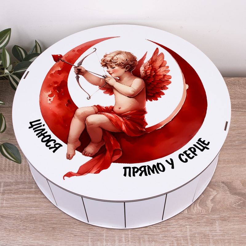 Подарункова коробка кругла біла ⌀19.5×6 см «Цілюся прямо в»