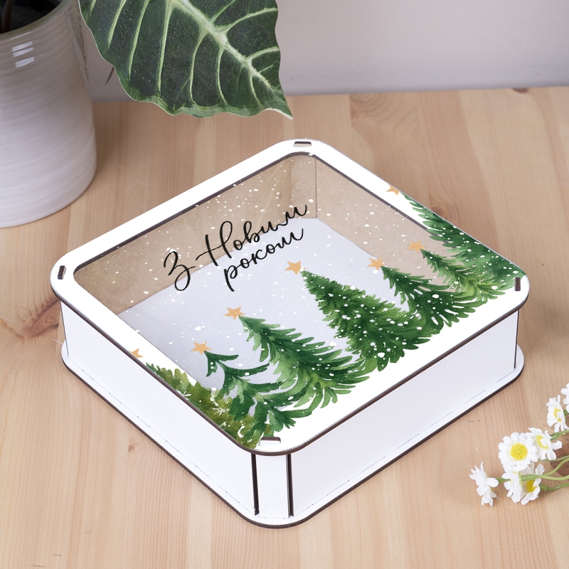 Подарункова коробка квадратна зелена з прозорою кришкою 19.4×19.4×5.4 см «З Новим роком Зелені»