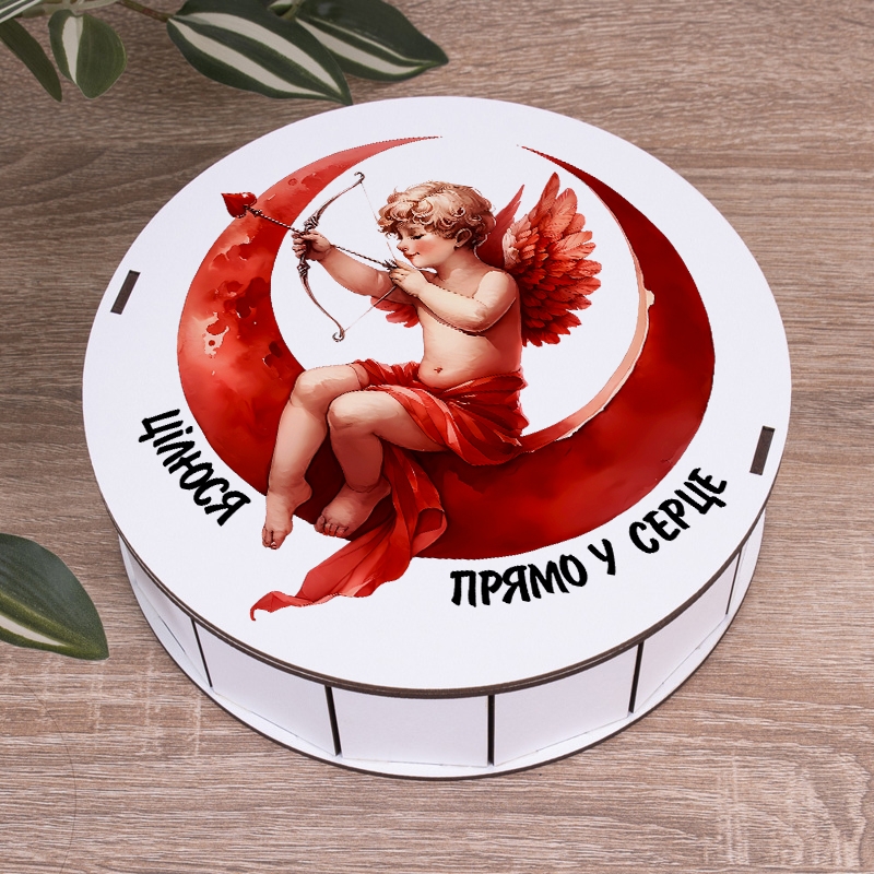Подарункова коробка кругла біла ⌀19.5×6 см «Цілюся прямо в»