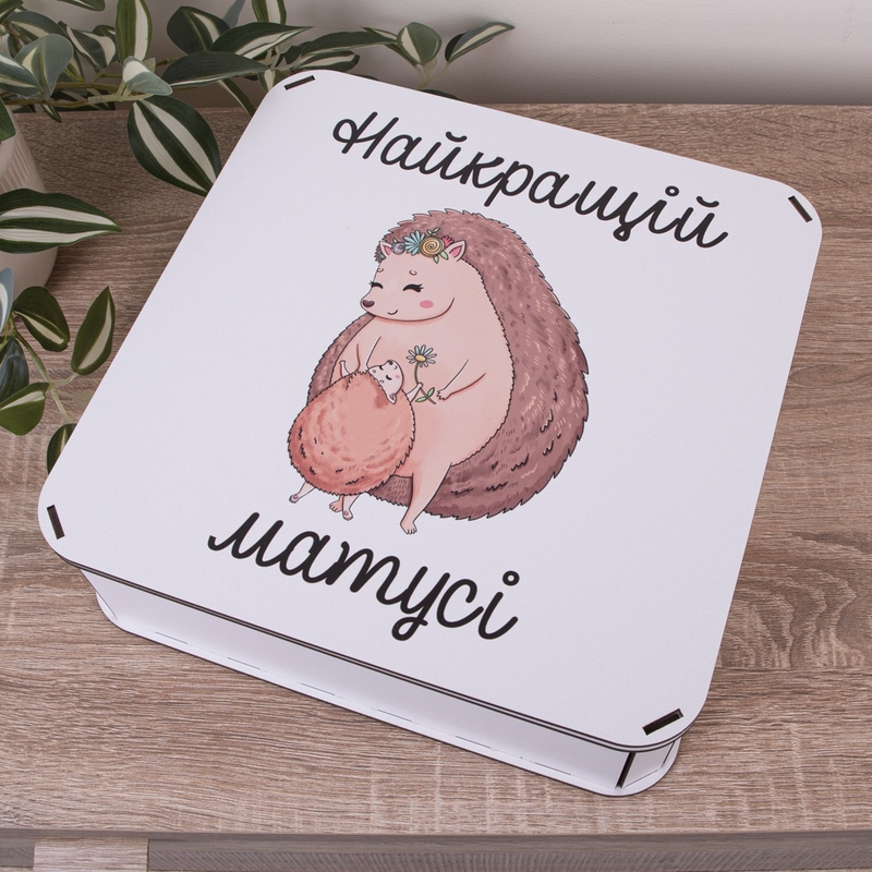 Подарункова коробка квадратна 19.4×19.4×5.8 см «XXL Їжачки суперматусі»